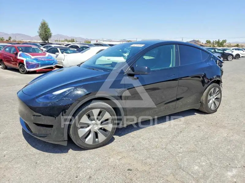 2023 Tesla Model Y photo