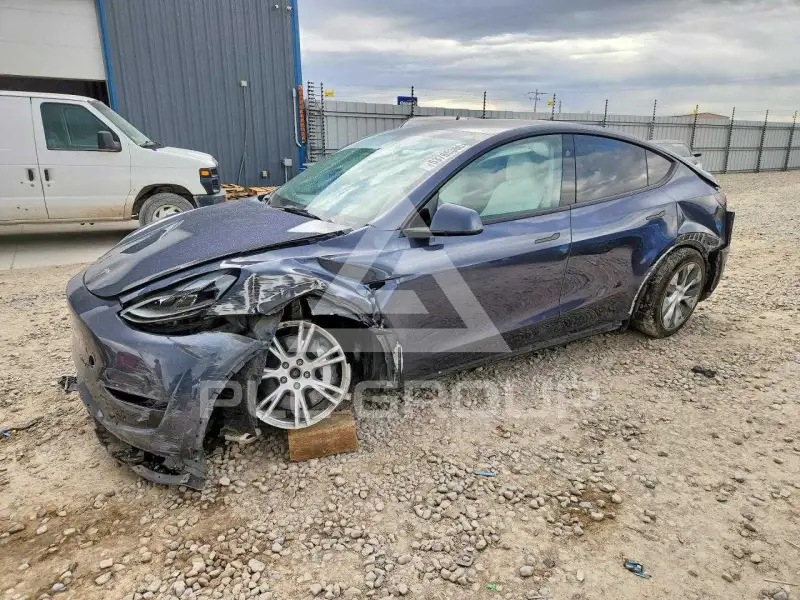 2023 Tesla Model Y фото