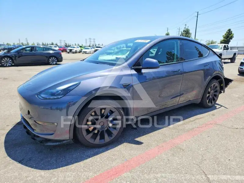 2023 Tesla Model Y photo