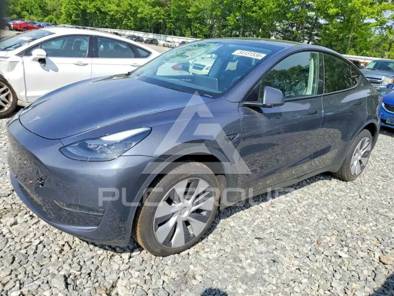 2023 Tesla Model Y photo
