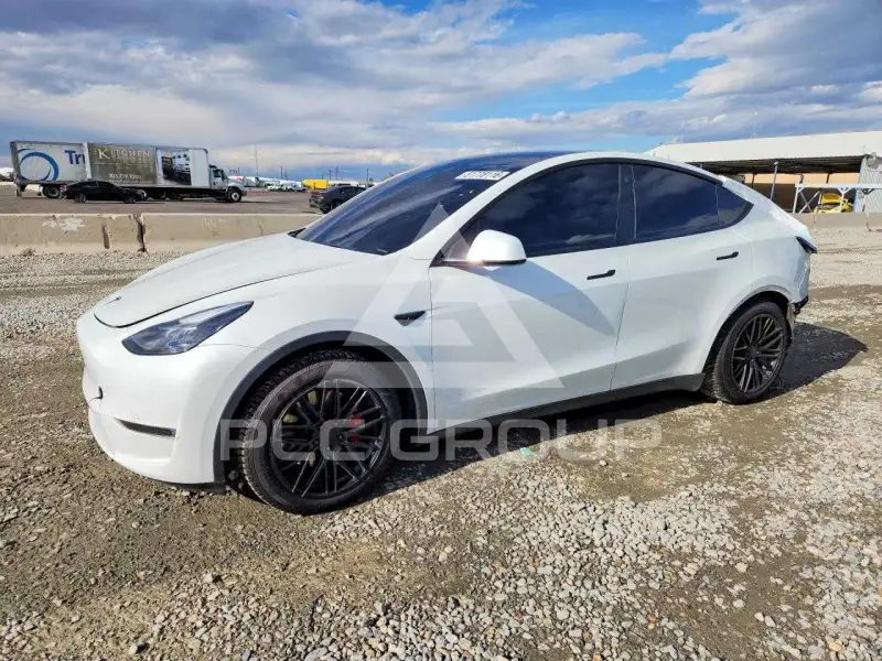 2023 Tesla Model Y фото