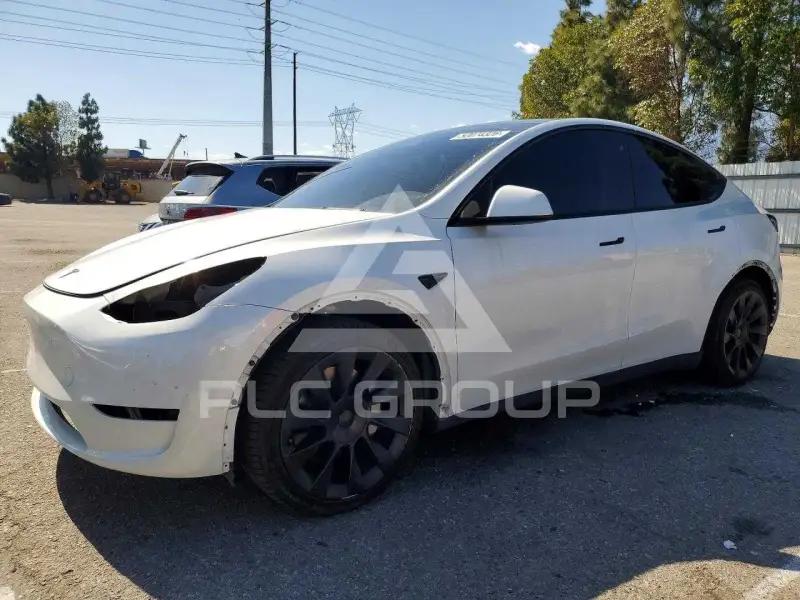 2023 Tesla Model Y photo