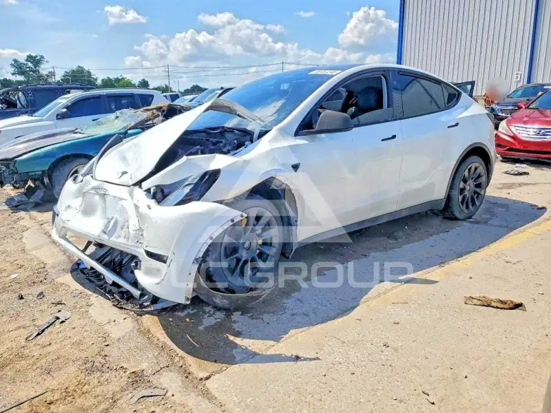 2023 Tesla Model Y photo