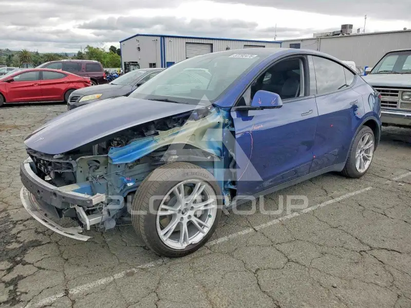 2023 Tesla Model Y photo
