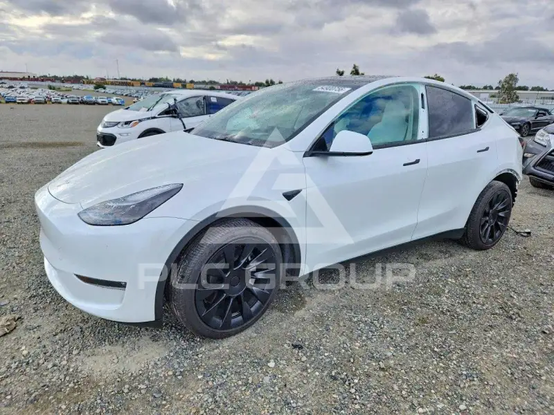 2023 Tesla Model Y фото