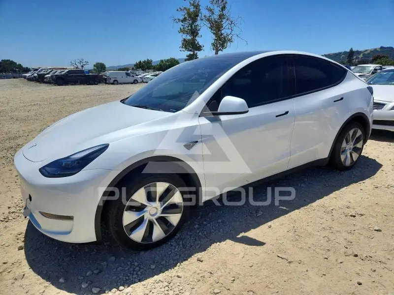 2023 Tesla Model Y фото