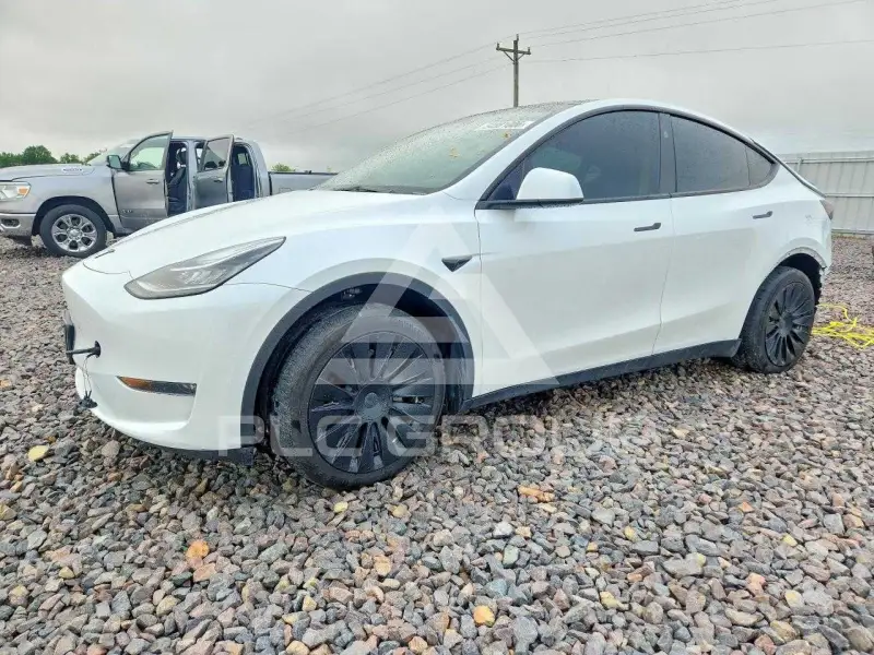 2023 Tesla Model Y photo