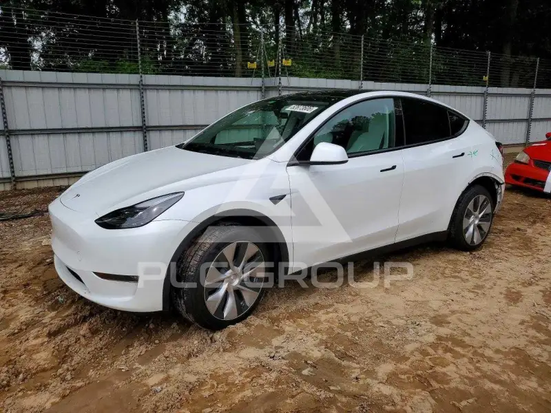 2023 Tesla Model Y фото