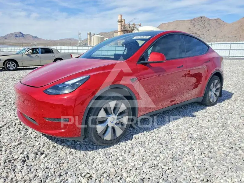 2023 Tesla Model Y фото