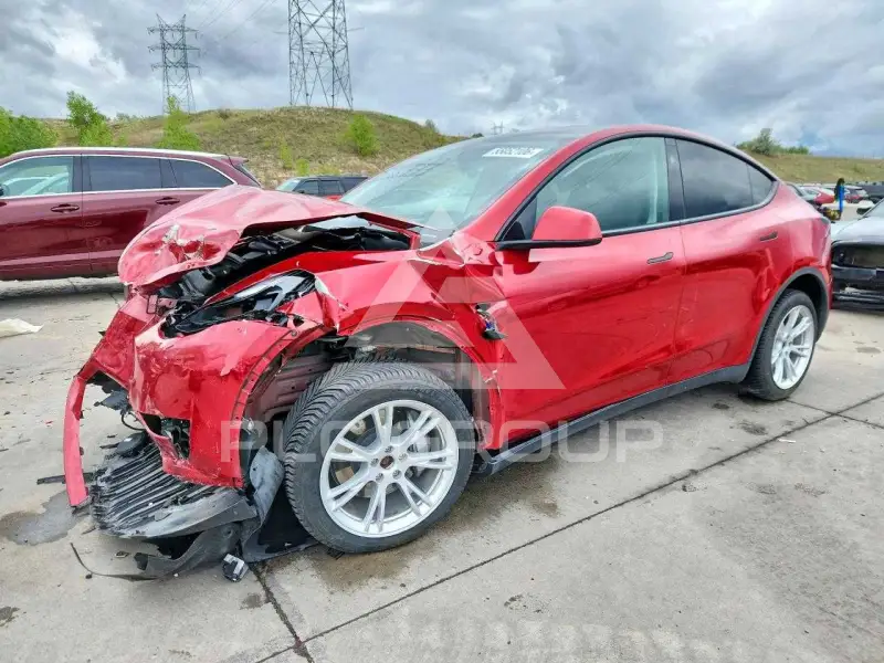 2023 Tesla Model Y фото