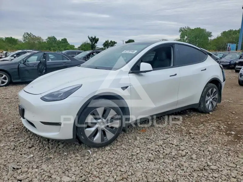 2023 Tesla Model Y фото