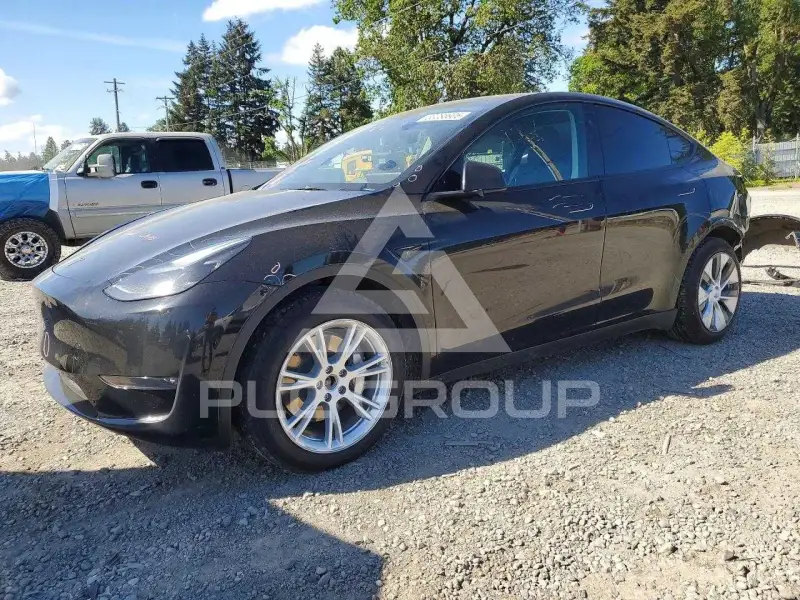 2023 Tesla Model Y фото