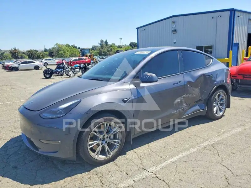 2023 Tesla Model Y photo