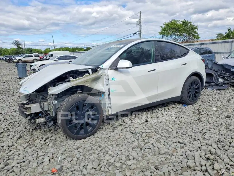 2023 Tesla Model Y фото