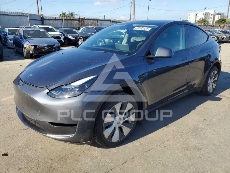 2023 Tesla Model Y фото