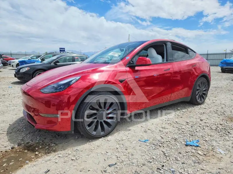 2023 Tesla Model Y фото