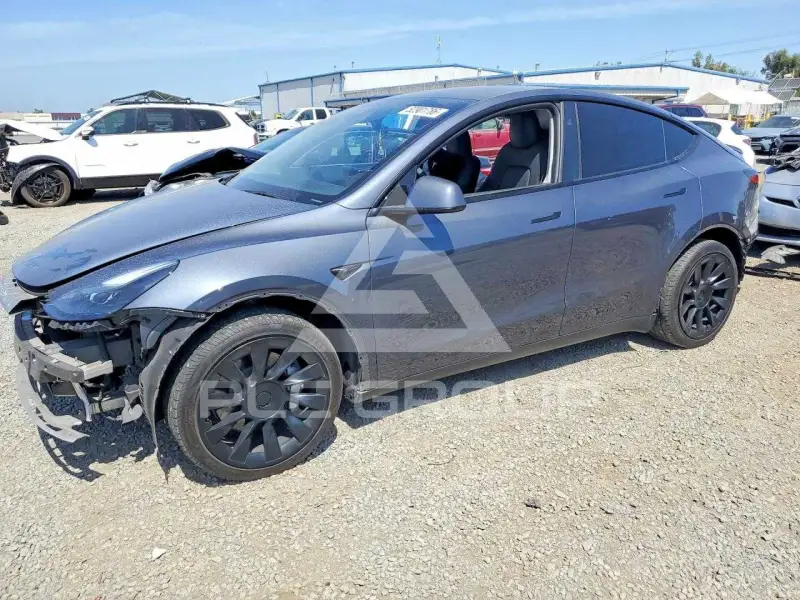 2023 Tesla Model Y фото