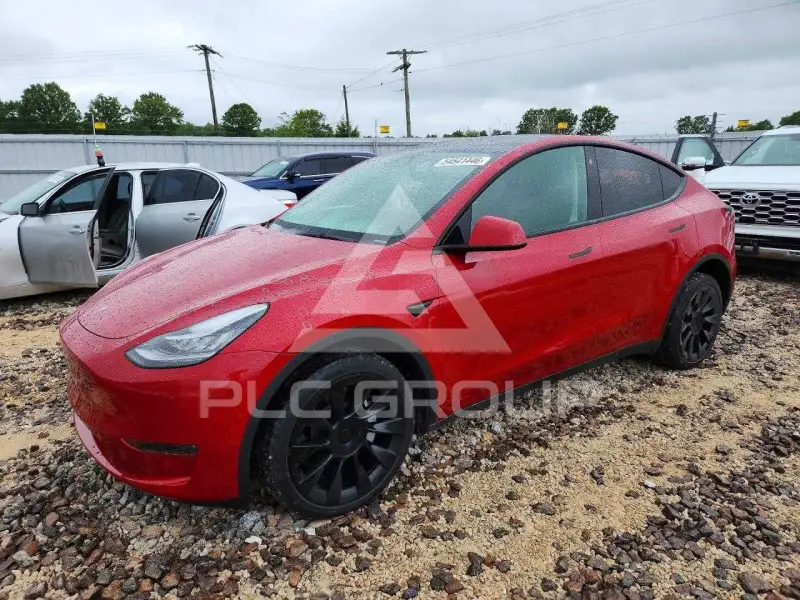 2023 Tesla Model Y photo