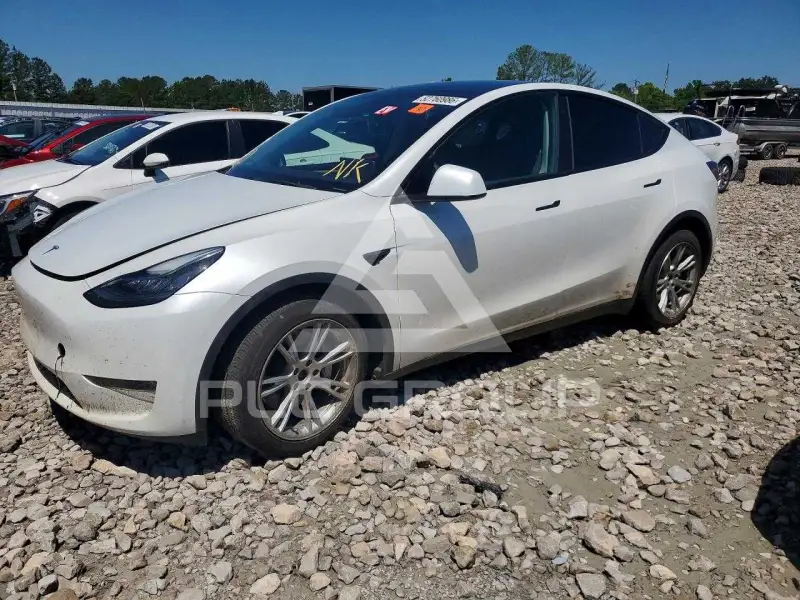 2023 Tesla Model Y photo