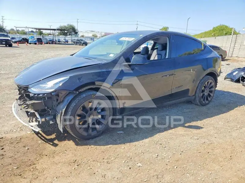 2023 Tesla Model Y фото