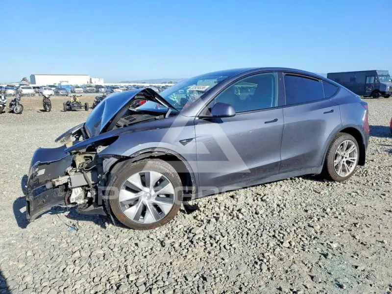 2023 Tesla Model Y фото