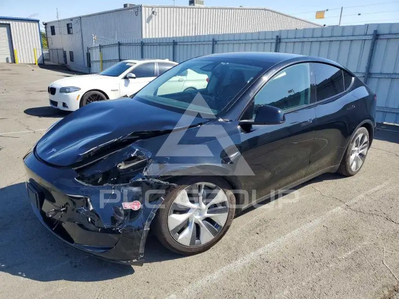 2023 Tesla Model Y фото