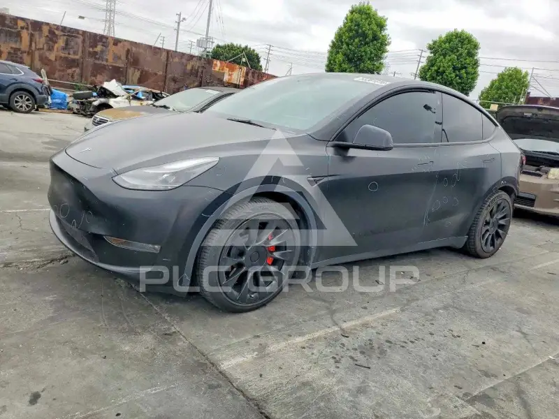 2023 Tesla Model Y photo