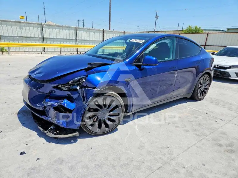 2023 Tesla Model Y photo