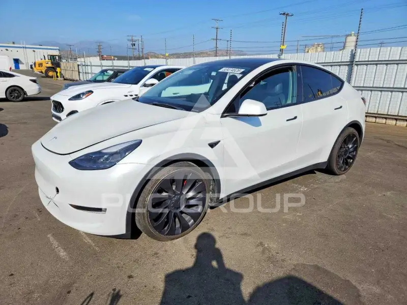 2023 Tesla Model Y фото