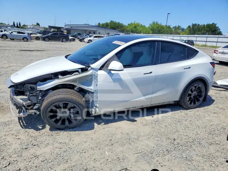 2023 Tesla Model Y photo