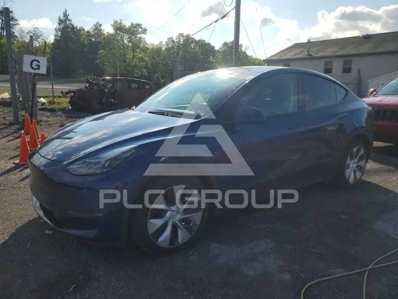 2023 Tesla Model Y фото