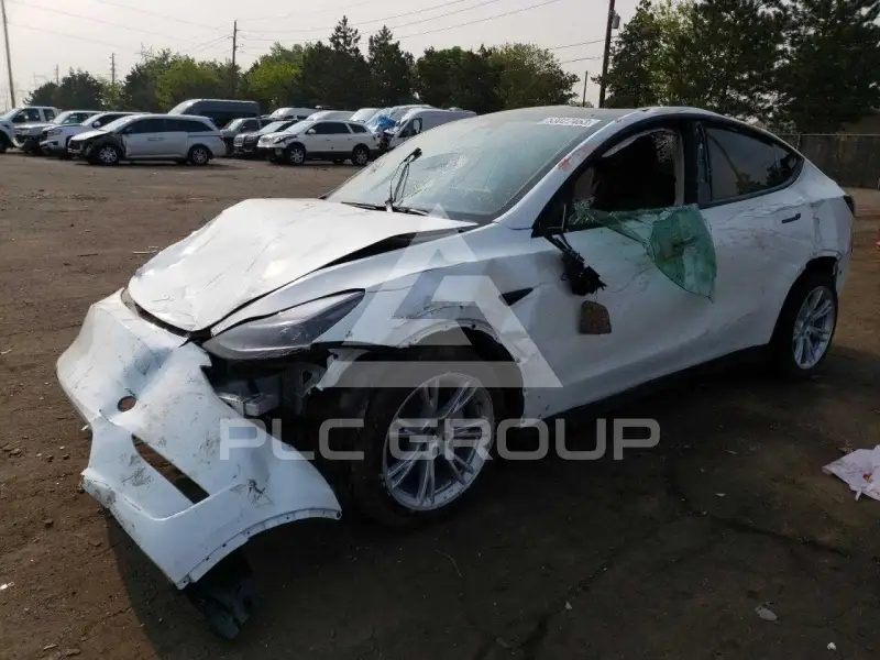 2023 Tesla Model Y фото