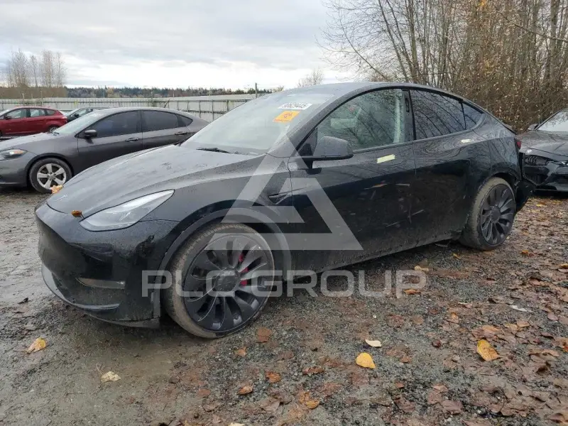 2023 Tesla Model Y photo