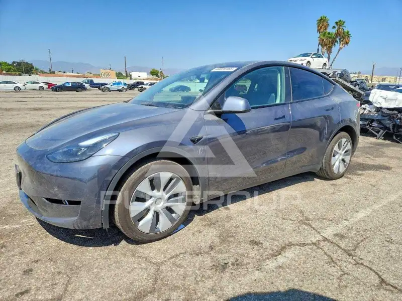 2023 Tesla Model Y photo