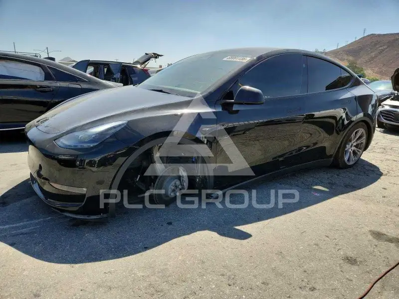 2023 Tesla Model Y фото