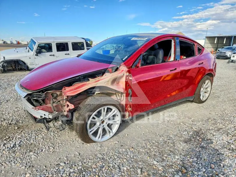 2023 Tesla Model Y фото