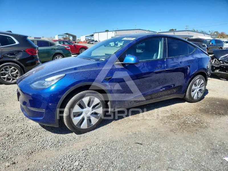 2023 Tesla Model Y фото