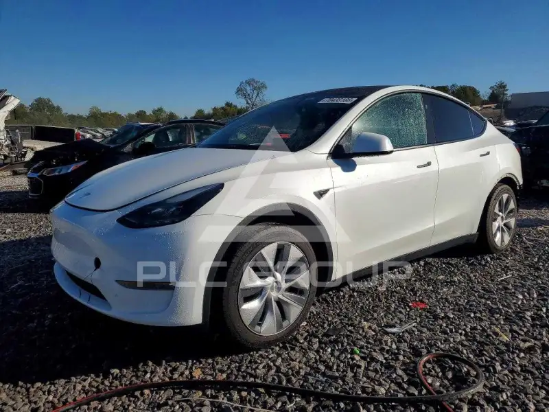 2023 Tesla Model Y фото