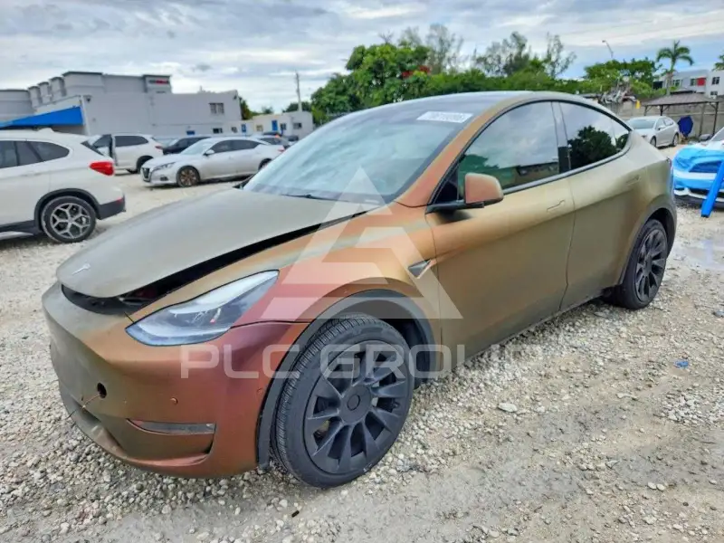2023 Tesla Model Y фото