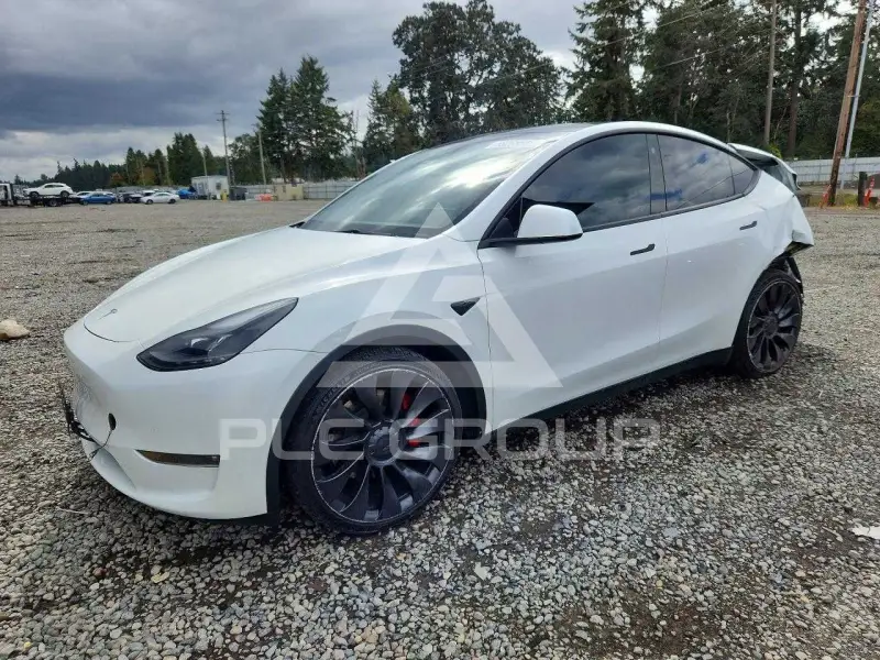 2023 Tesla Model Y photo