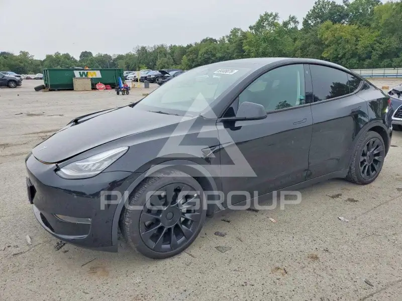 2023 Tesla Model Y фото