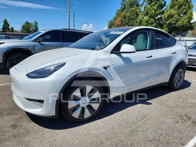 2023 Tesla Model Y photo