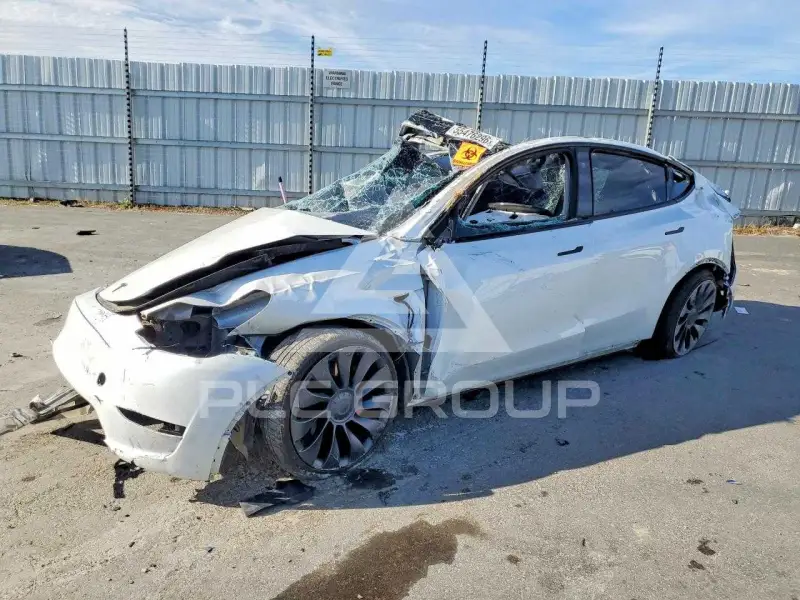2023 Tesla Model Y фото