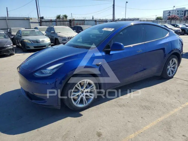 2023 Tesla Model Y photo