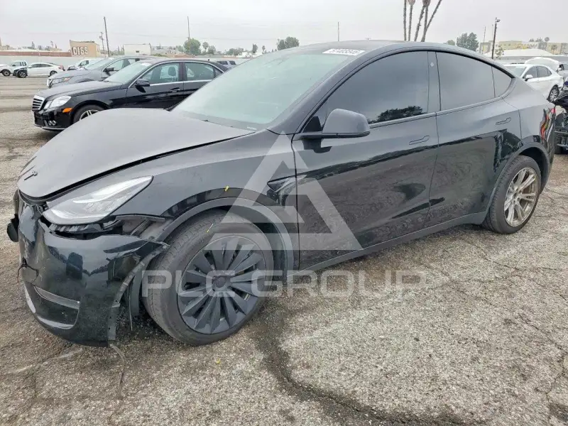 2023 Tesla Model Y фото