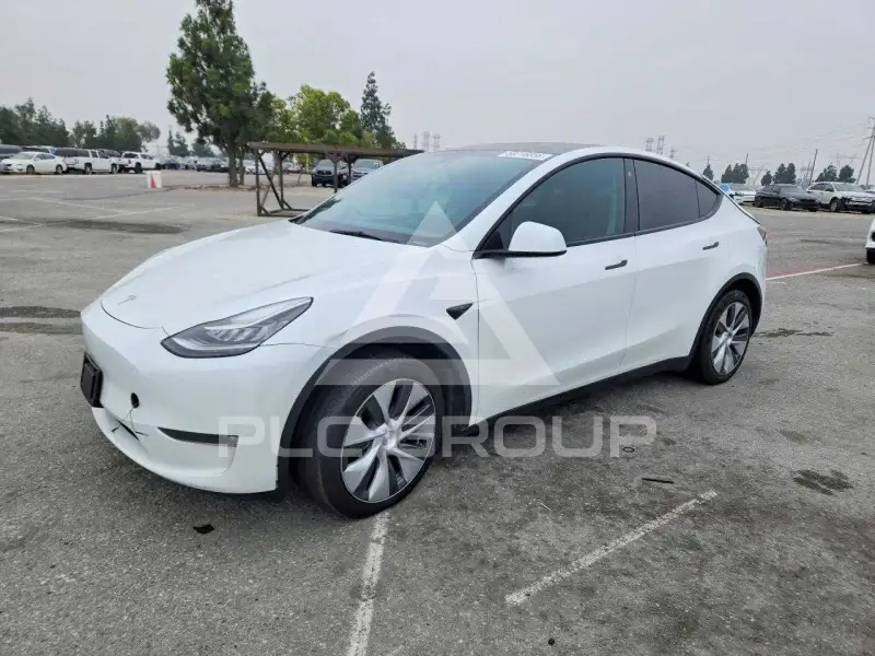 2023 Tesla Model Y photo