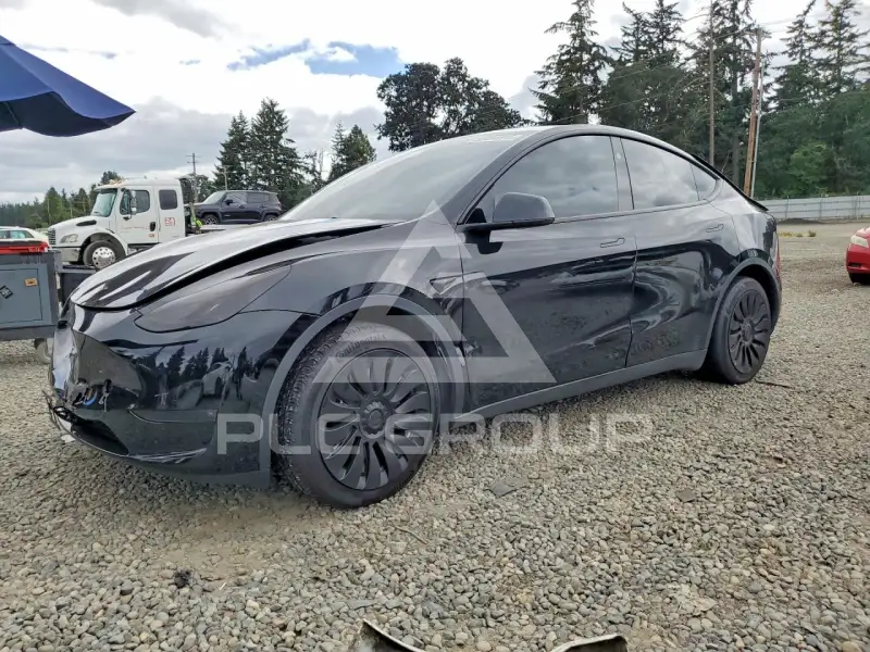 2023 Tesla Model Y фото