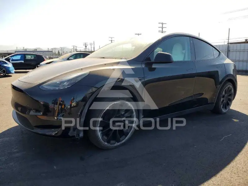2023 Tesla Model Y фото