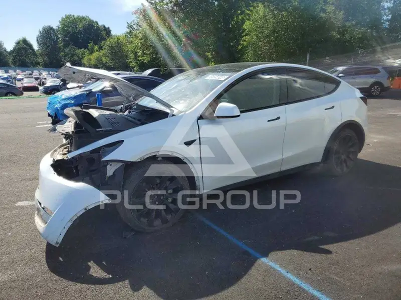 2023 Tesla Model Y фото