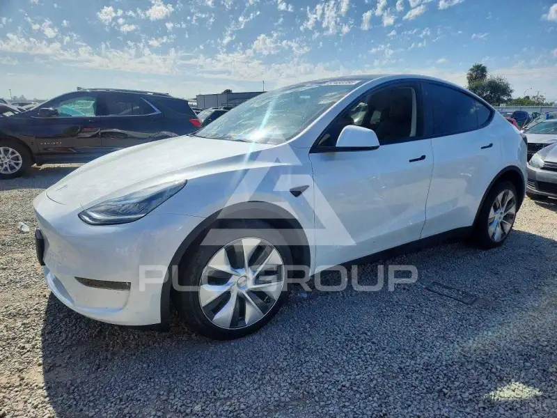 2023 Tesla Model Y фото